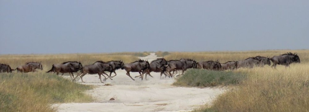 Met de fiets door Afrika